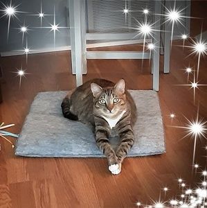 Meet your Posher, Julie